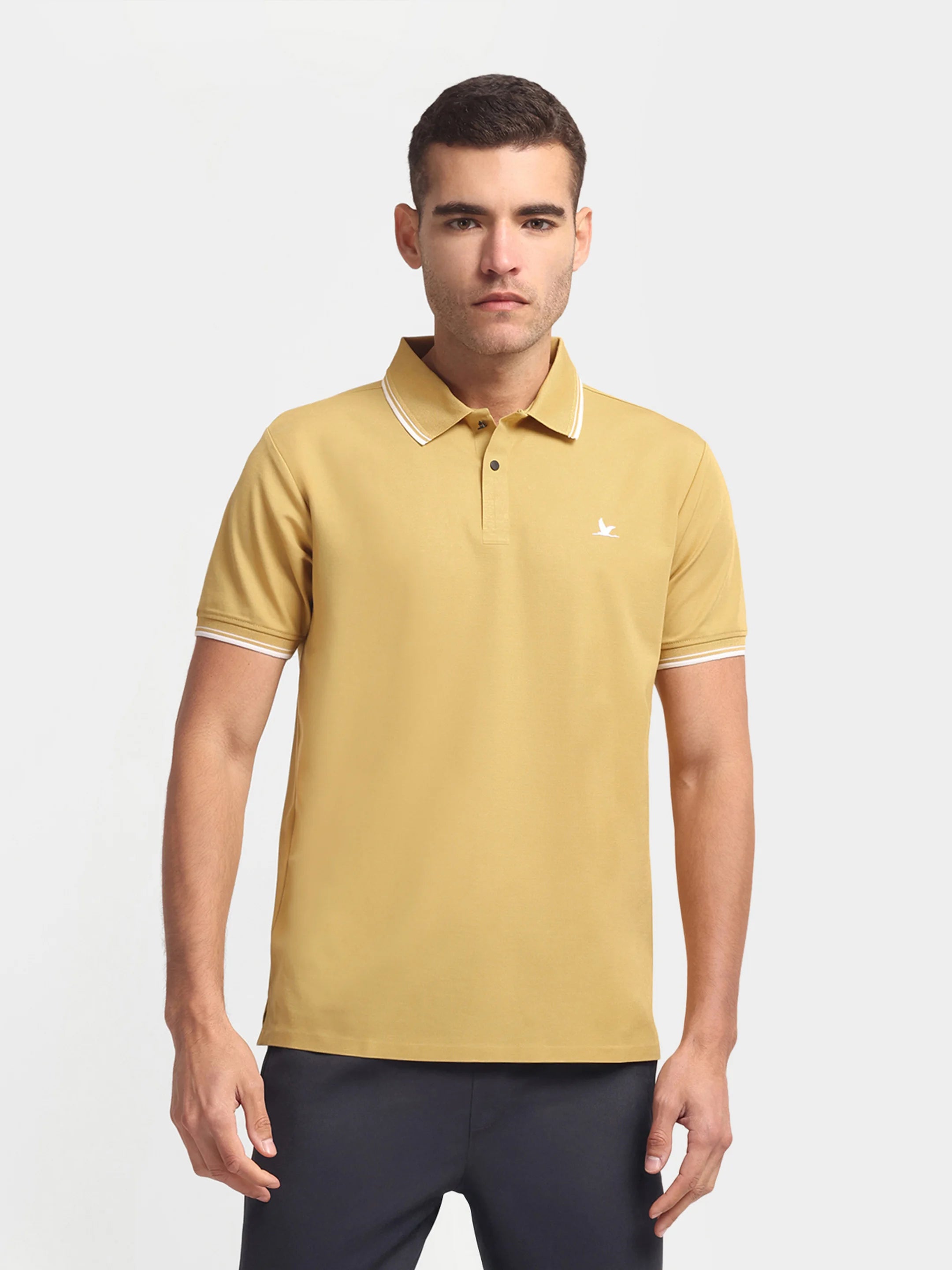 Crown Edge Polo Bottle Golden