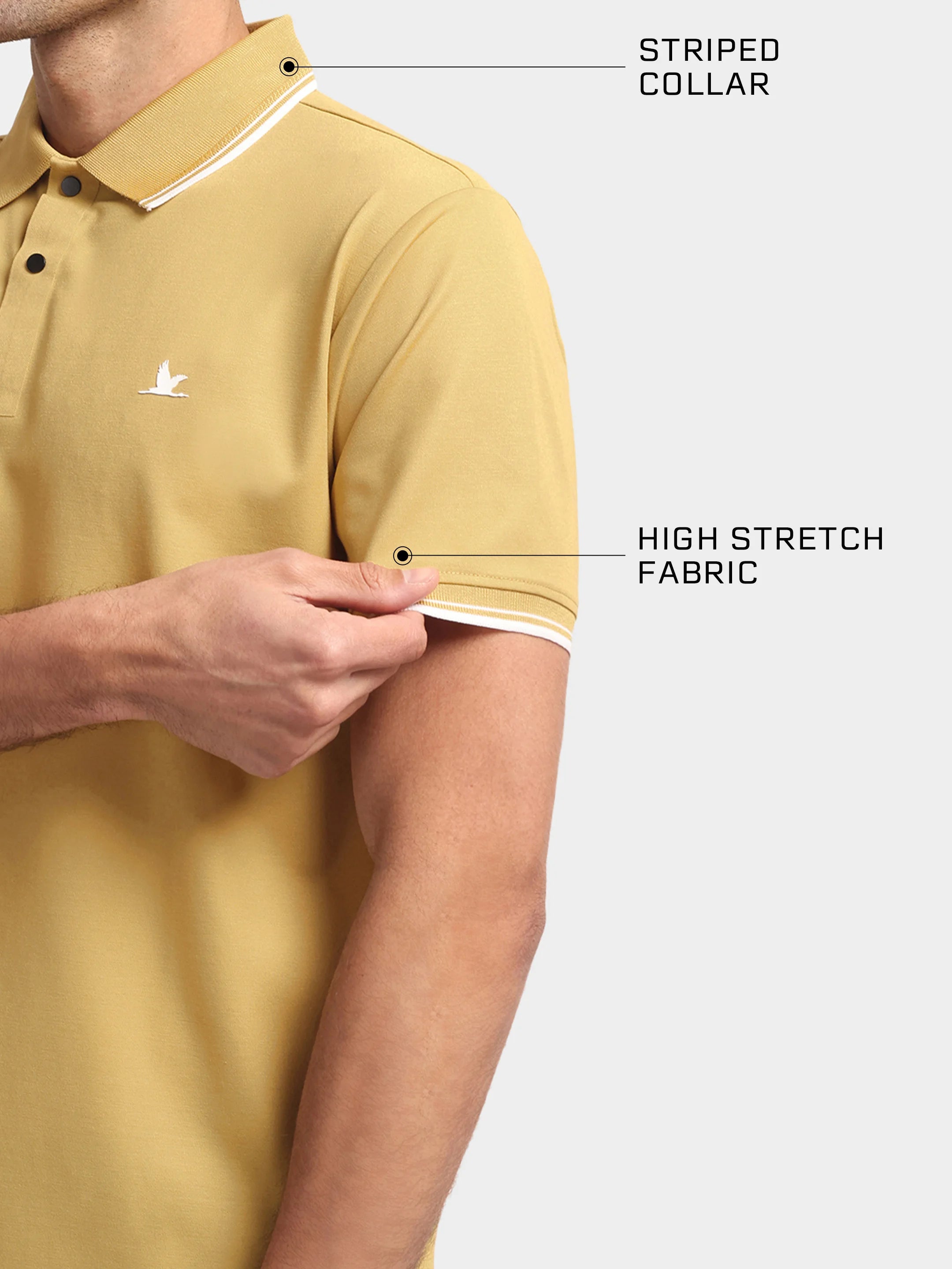 Crown Edge Polo Bottle Golden