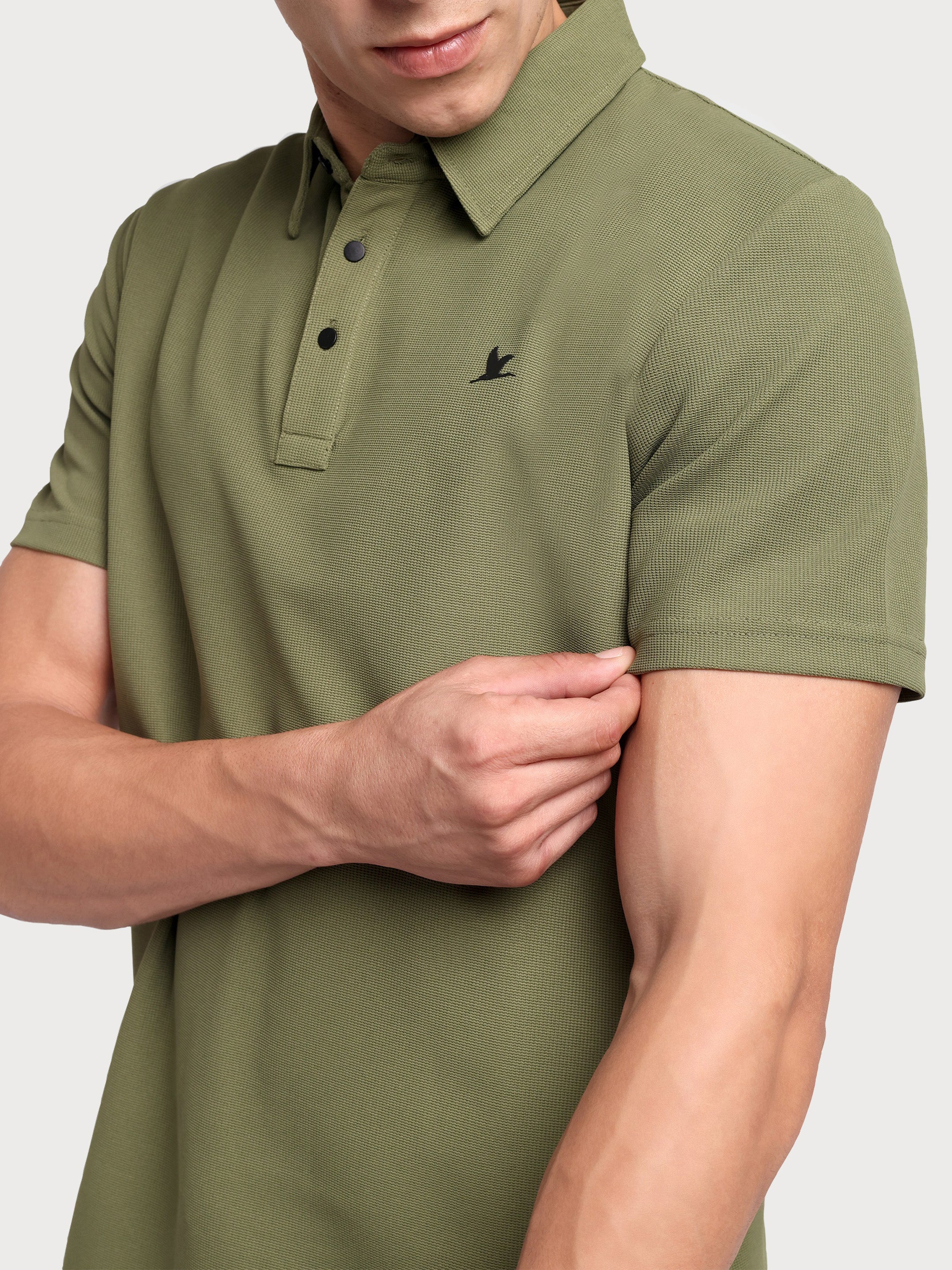 Stallion Polo Olive Green