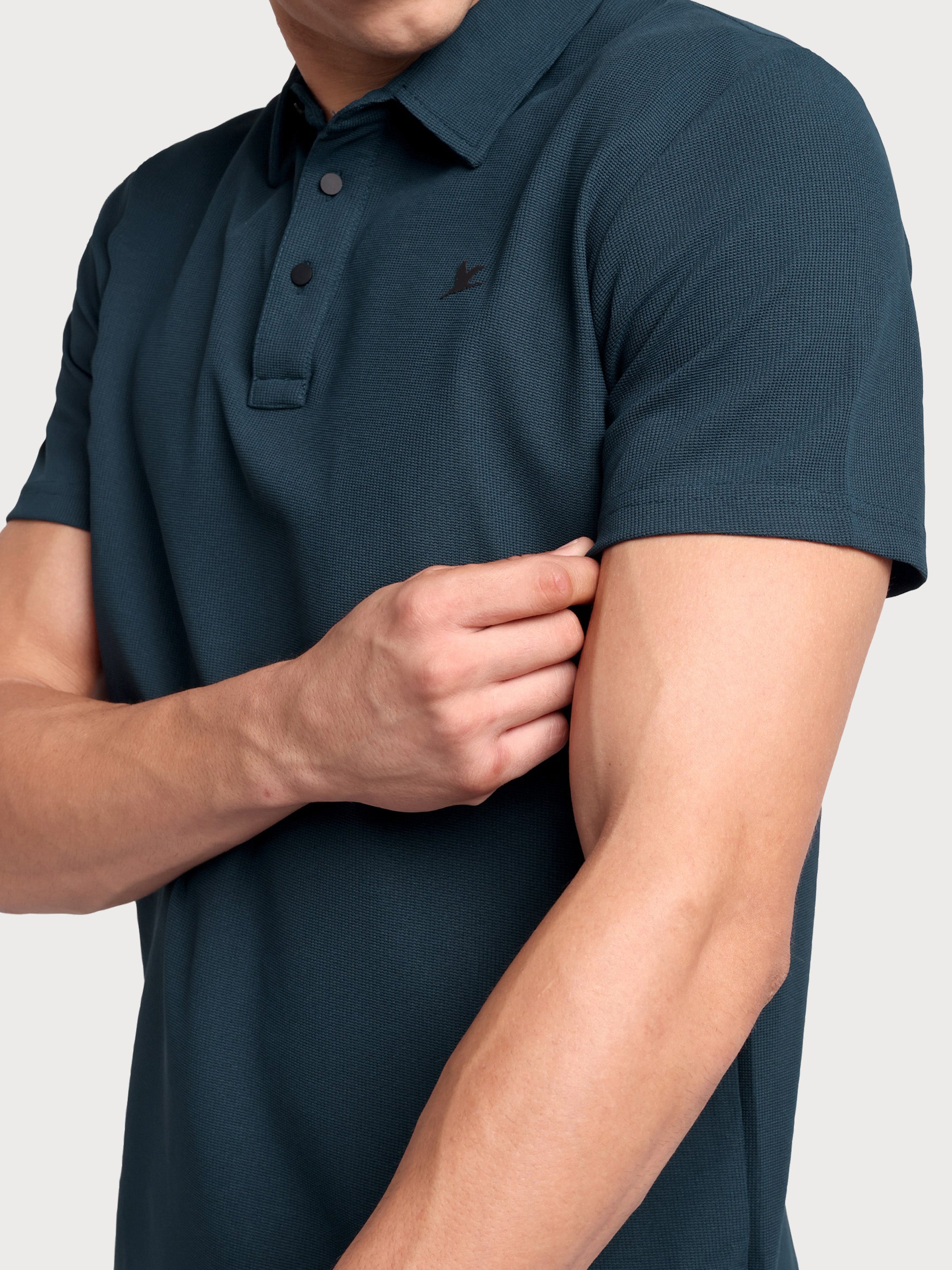 Stallion Polo German Blue