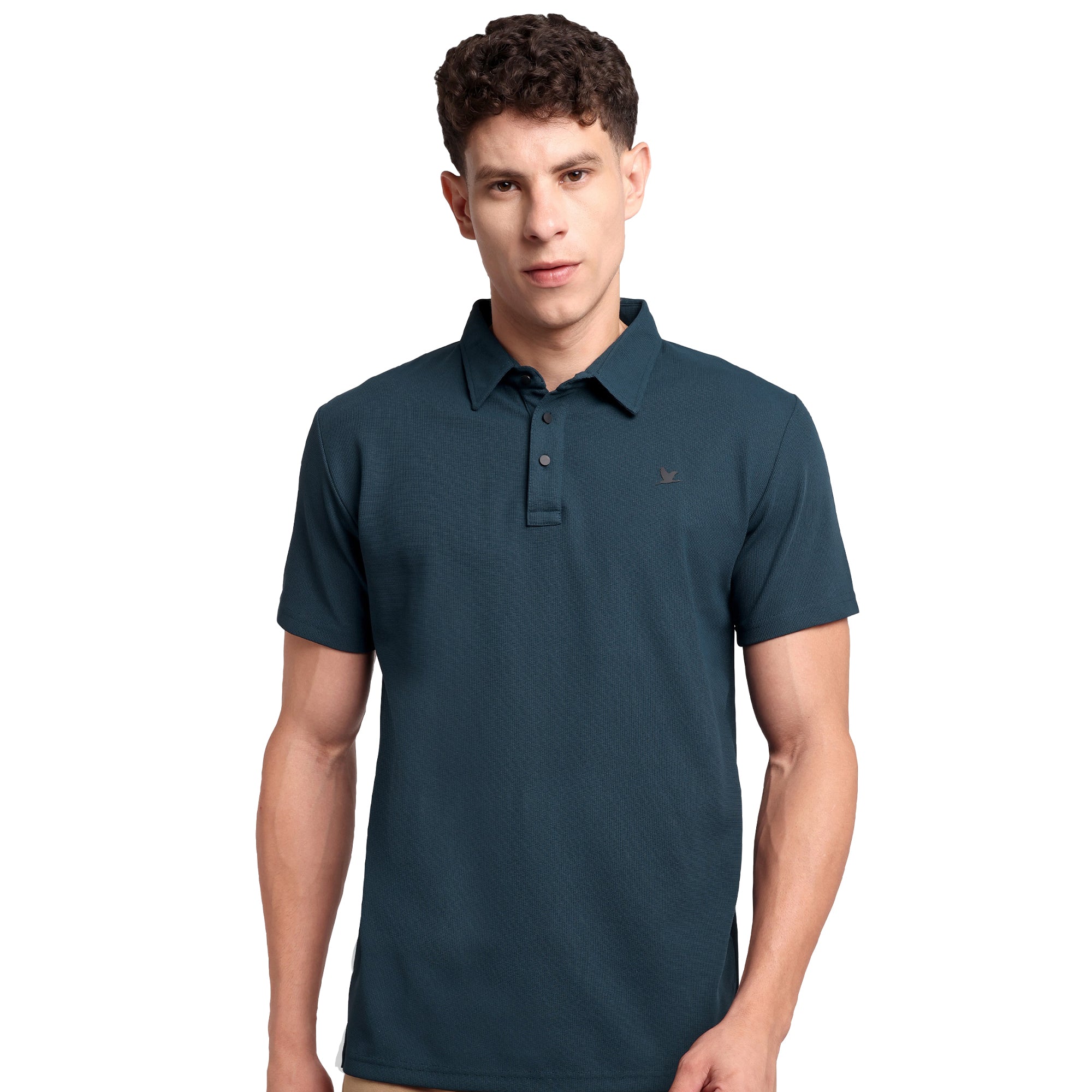 Stallion Polo German Blue