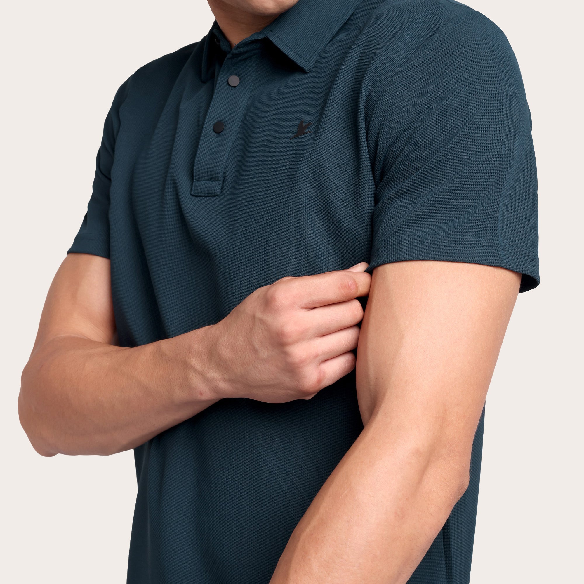 Stallion Polo German Blue