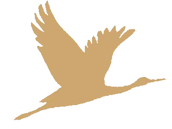 Oxpecker